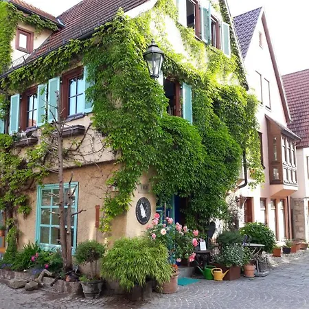 Im Grunen Haus Homestay *