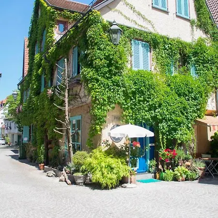 Homestay Im Grunen Haus