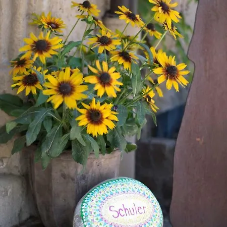 Séjour chez l'habitant Im Grunen Haus