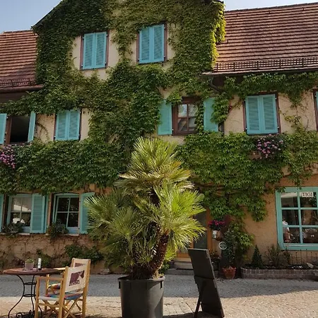 Im Grunen Haus Séjour chez l'habitant Besigheim