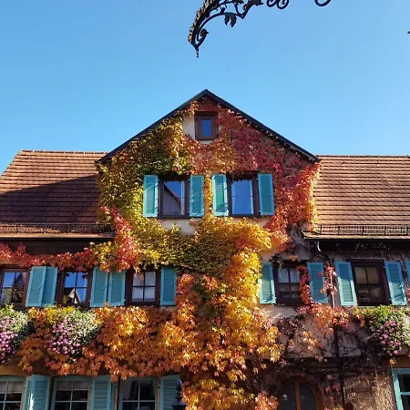 Im Grunen Haus Séjour chez l'habitant Besigheim